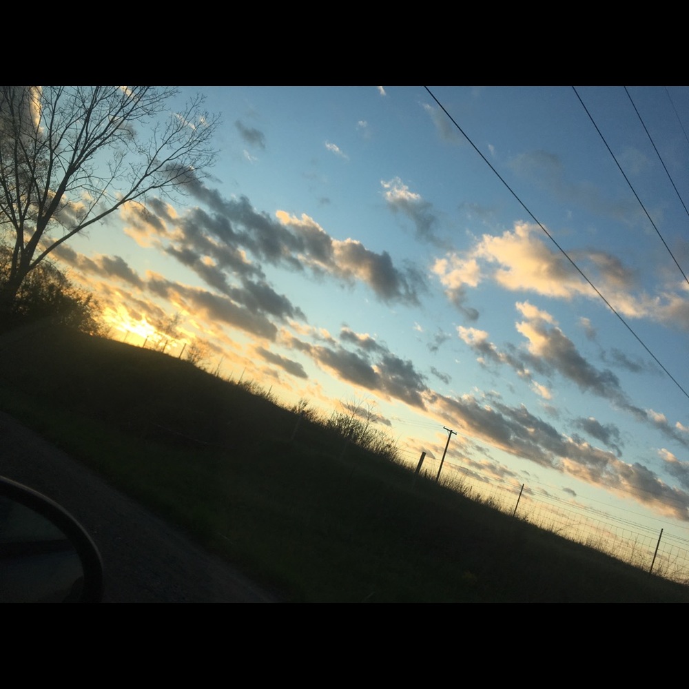 Meet your Posher, Trina